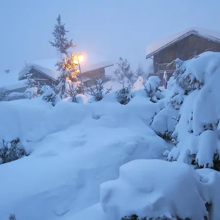 Ancolie - Champagny En Vanoise La Plagne