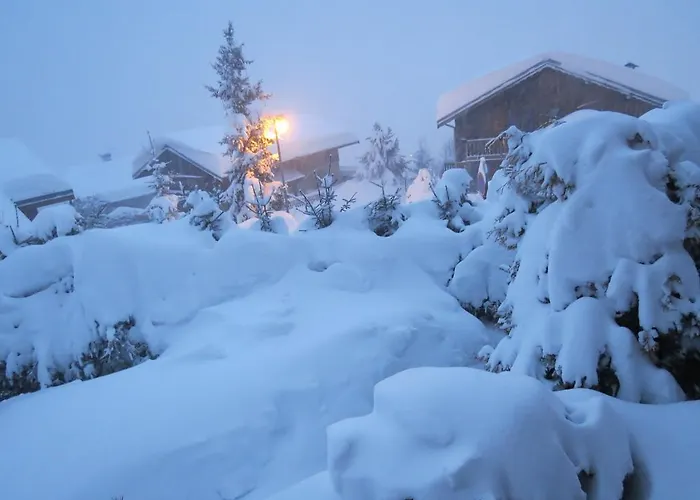 Ancolie - Champagny En Vanoise La Plagne